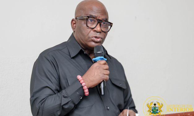 Deputy Interior Minister urges Immigration Council to enhance migration management